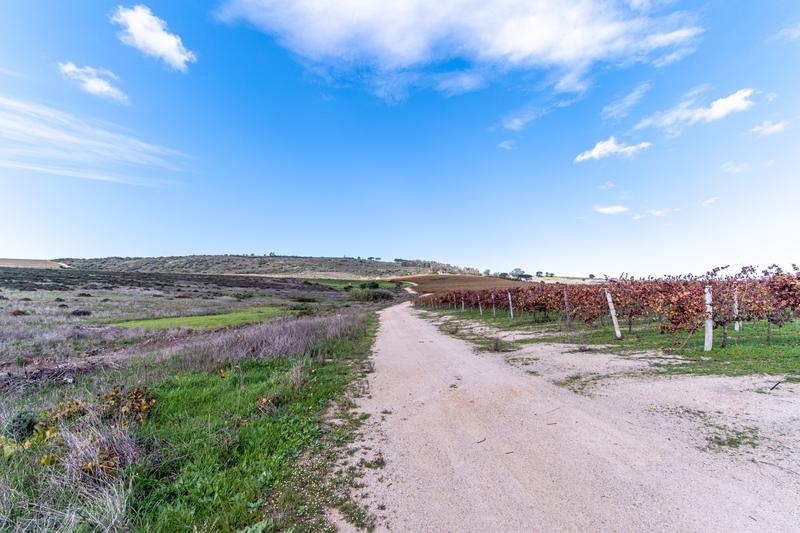 Prime Land on Cape Town's Urban Edge